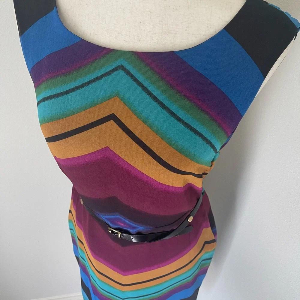 Multicolor Chevron Pattern Dress - Picture 5 of 7